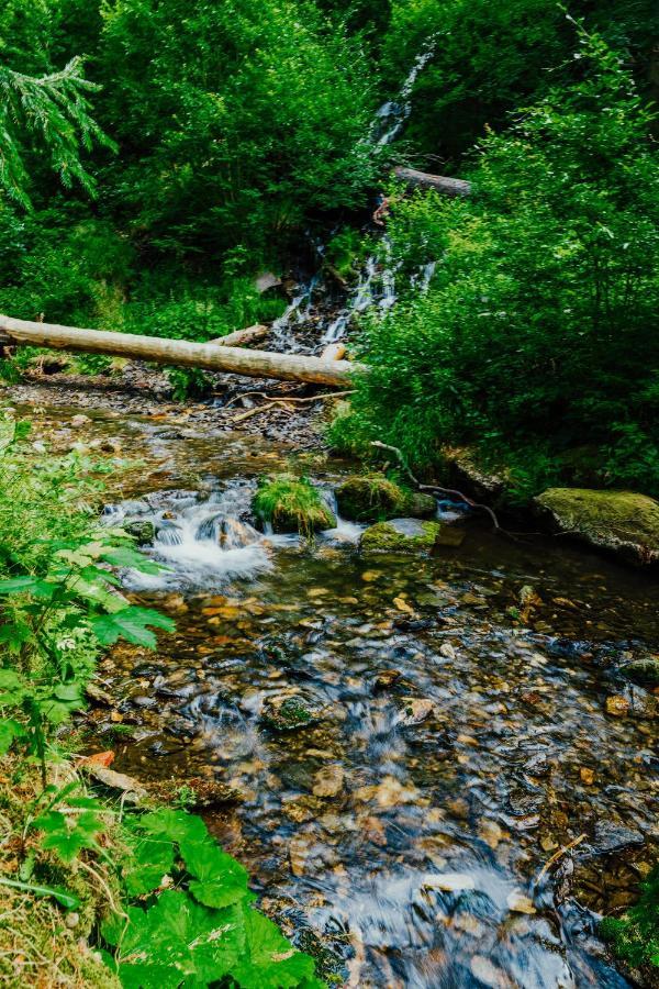 Apartmán U Vlka - Hubertus, Karlova Studánka Kültér fotó